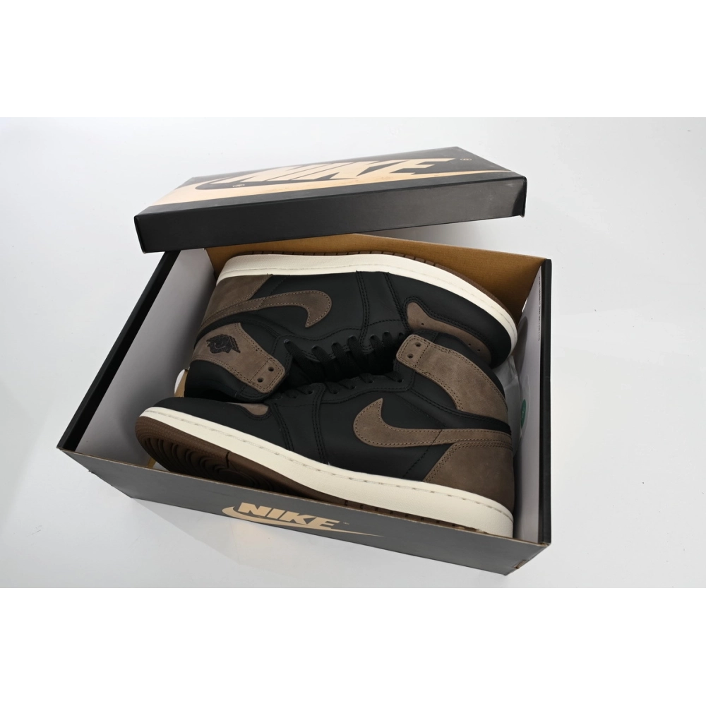 Air Jordan 1 Retro High OG Palomino DZ5485-020