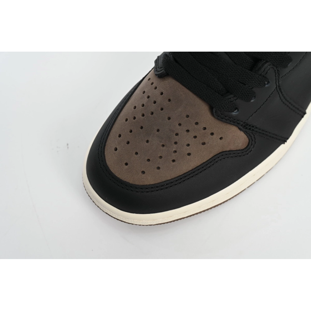 Air Jordan 1 Retro High OG Palomino DZ5485-020