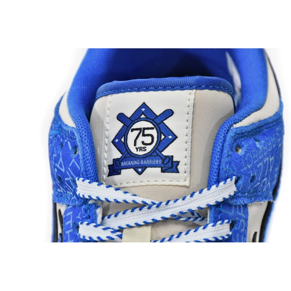 Nike Dunk Low Jackie Robinson DV2203-400