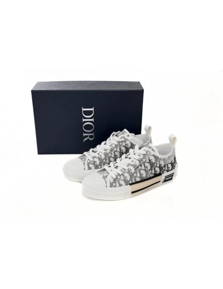 Dior B23 Low Top Logo Oblique 3SN249YJP_H069