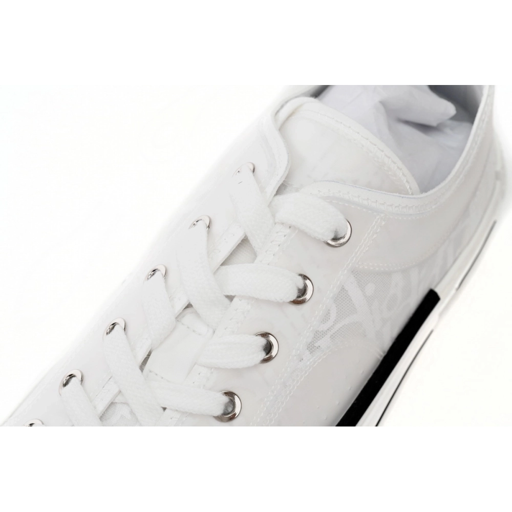 Dior B23 Low Top Oblique 3SN249YNT_H060
