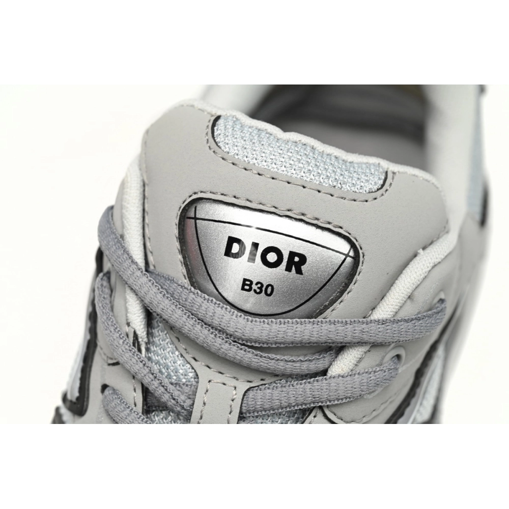 Dior B30 Gray 3SN279ZRD_H868