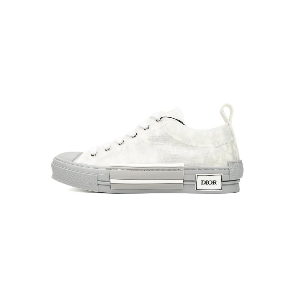 Dior B23 Low Top Oblique Grey 3SH118YNT_H068