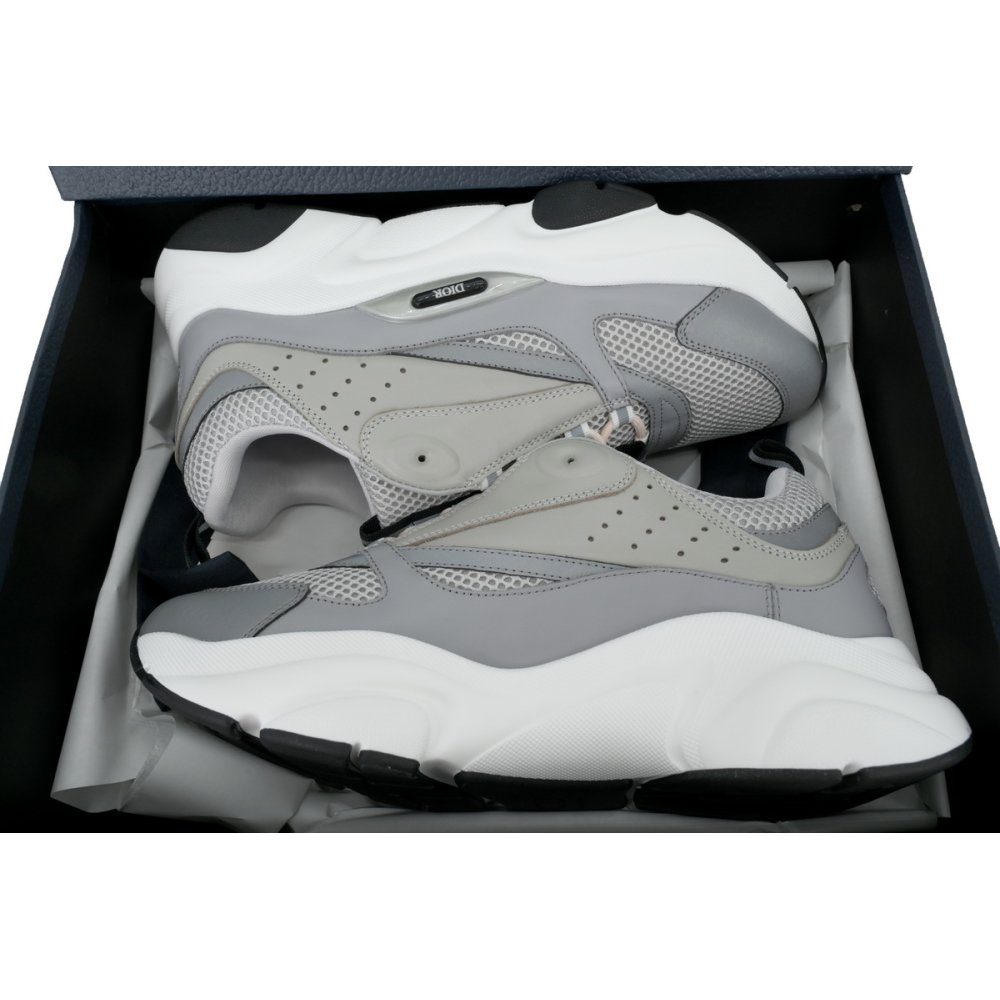 Dior B22 Gray Blue