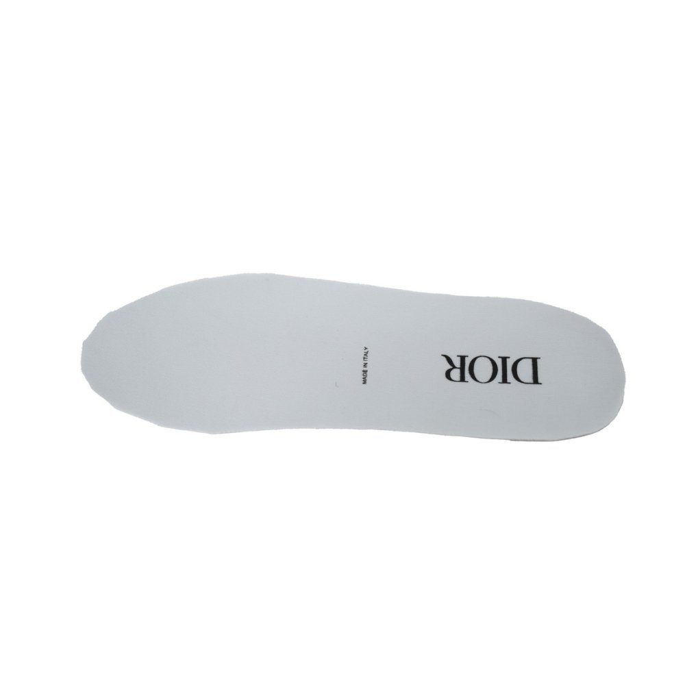 Dior B22 Gray Blue