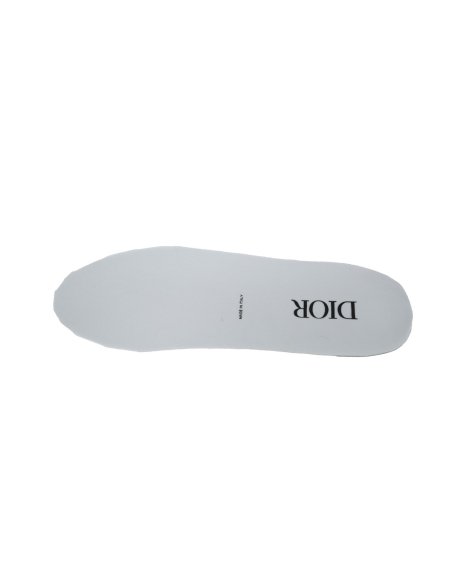 Dior B22 Gray Blue