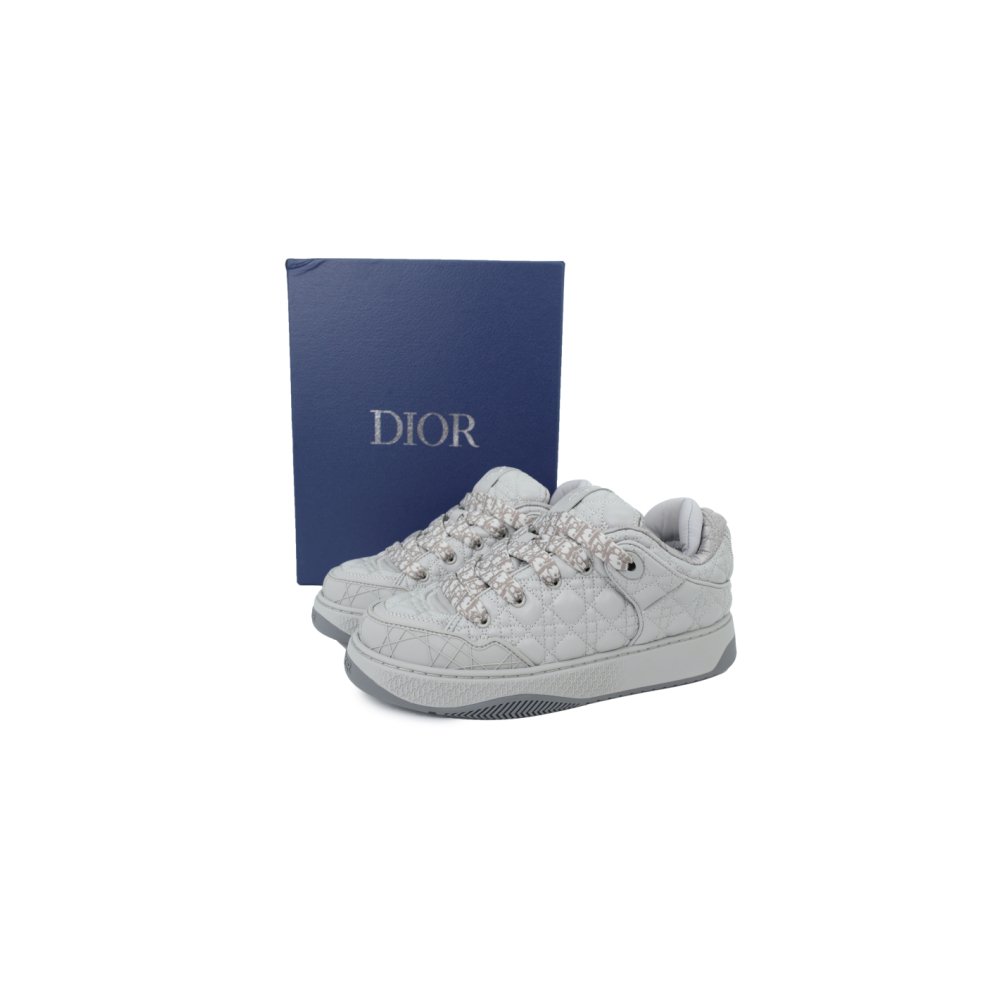 Dior B9S Skater Sneaker Gray