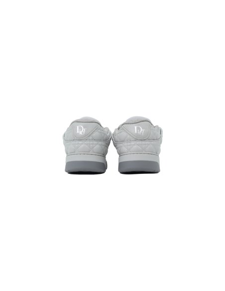 Dior B9S Skater Sneaker Gray