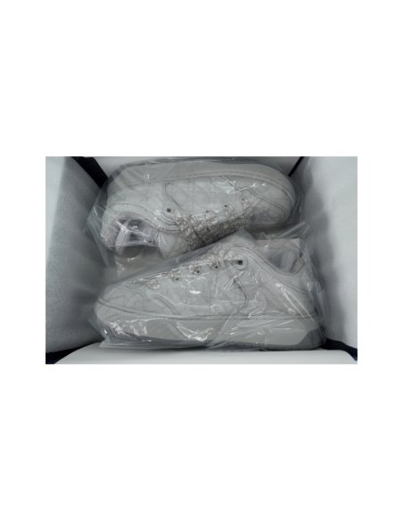 Dior B9S Skater Sneaker Gray