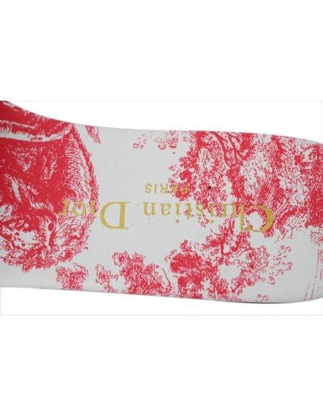 Dior Dway Slide Cloth Printed Sandals Red KCQ209DME_S79W