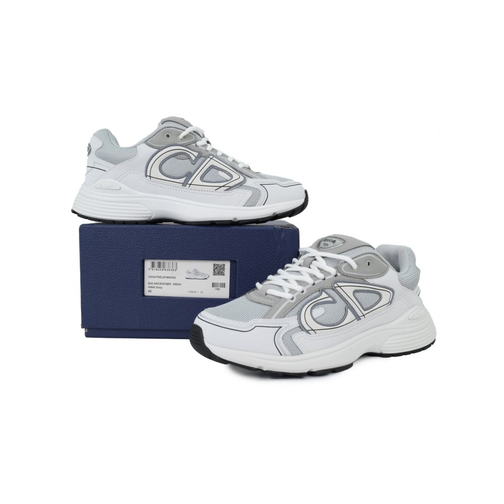 Dior B30 Countdown Sneaker Gray White