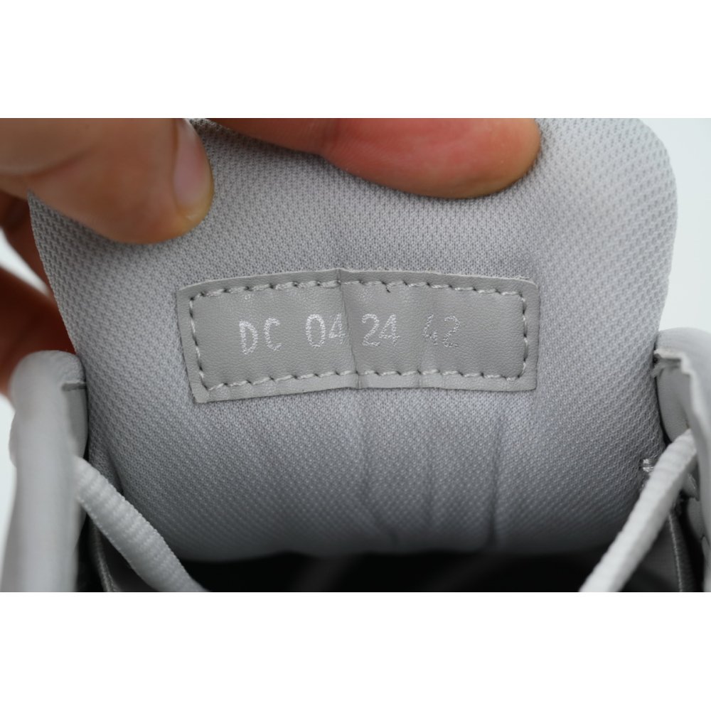 Dior B30 Countdown Sneaker Gray White