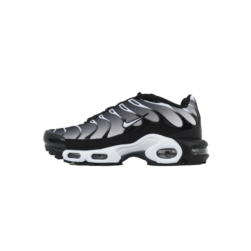 Nike Air Max Plus Black Metallic Silver DM0032-003