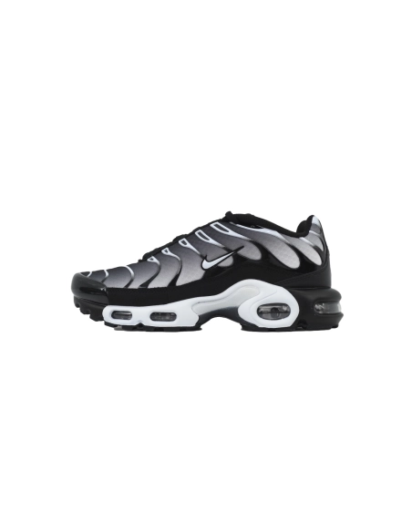 Nike Air Max Plus Black Metallic Silver DM0032-003