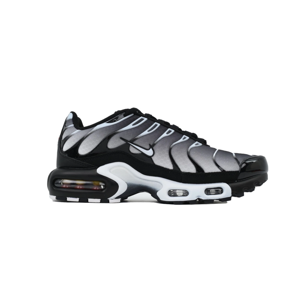 Nike Air Max Plus Black Metallic Silver DM0032-003