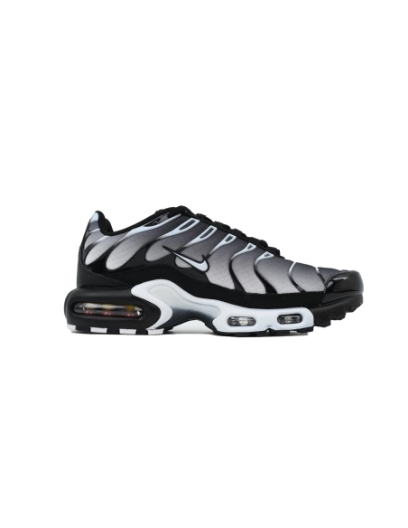 Nike Air Max Plus Black Metallic Silver DM0032-003