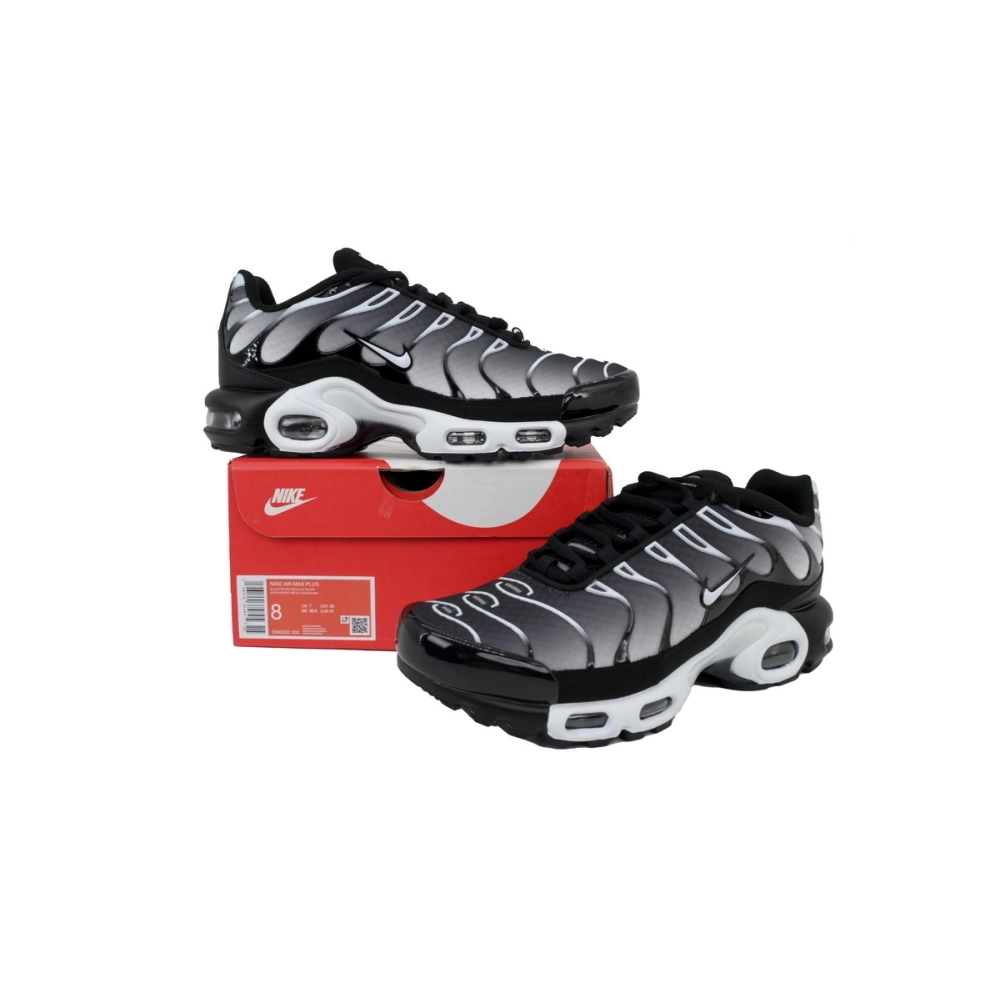 Nike Air Max Plus Black Metallic Silver DM0032-003