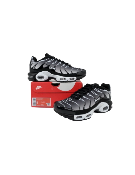 Nike Air Max Plus Black Metallic Silver DM0032-003