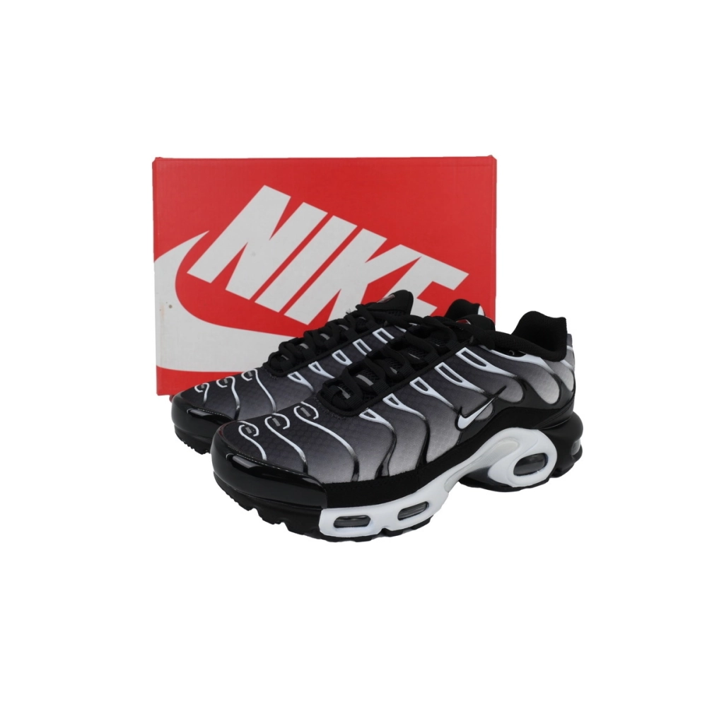 Nike Air Max Plus Black Metallic Silver DM0032-003
