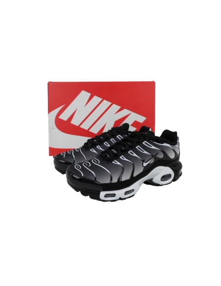 Nike Air Max Plus Black Metallic Silver DM0032-003