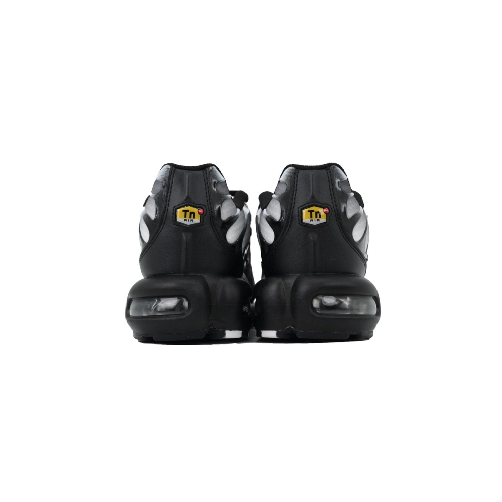 Nike Air Max Plus Black Metallic Silver DM0032-003