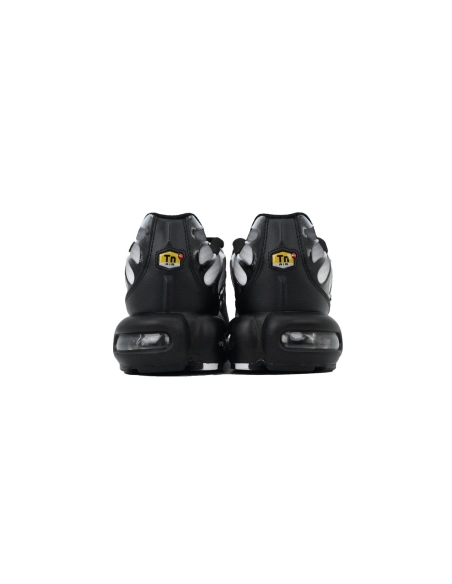 Nike Air Max Plus Black Metallic Silver DM0032-003
