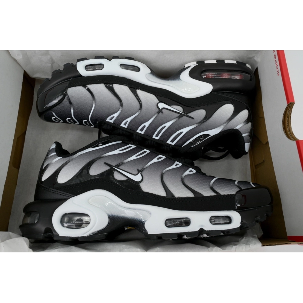 Nike Air Max Plus Black Metallic Silver DM0032-003