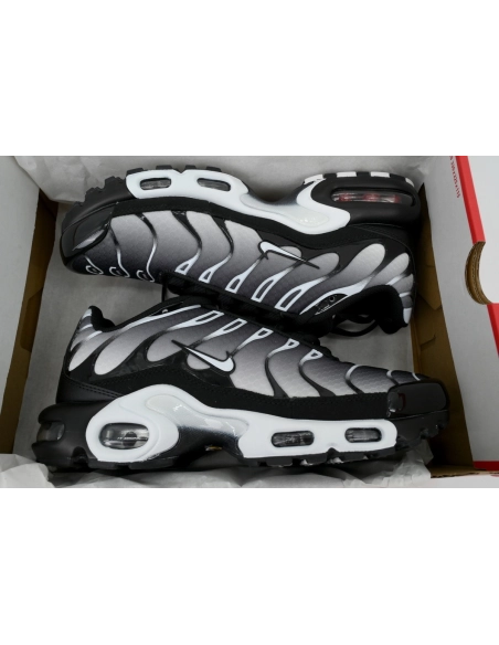 Nike Air Max Plus Black Metallic Silver DM0032-003
