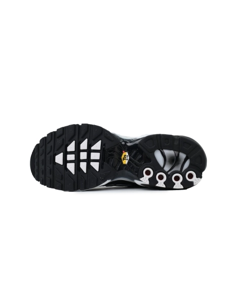 Nike Air Max Plus Black Metallic Silver DM0032-003