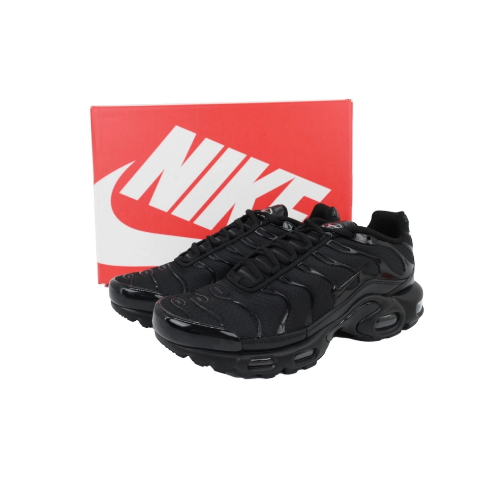 Nike Air Max Plus Triple Black 604133-050