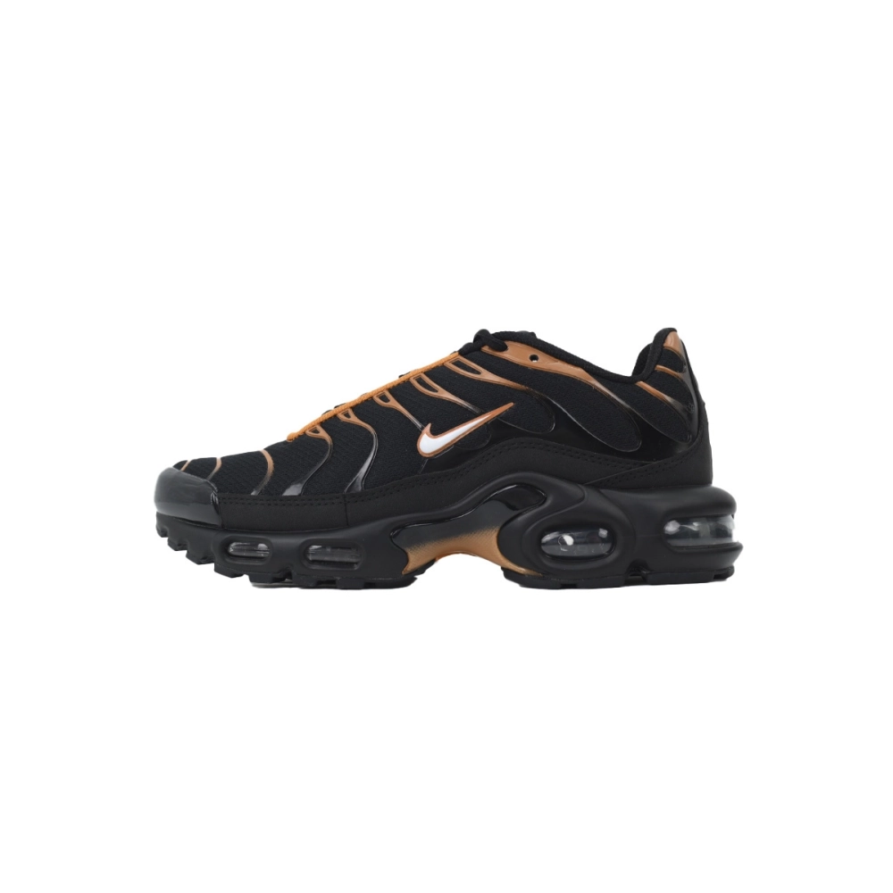 Nike Air Max Plus Dark Obsidian Monarch FN6949-400