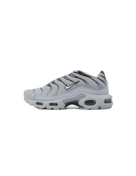 Nike Air Max Plus Wolf Grey 852630-021