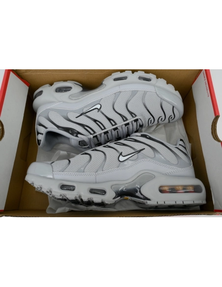 Nike Air Max Plus Wolf Grey 852630-021