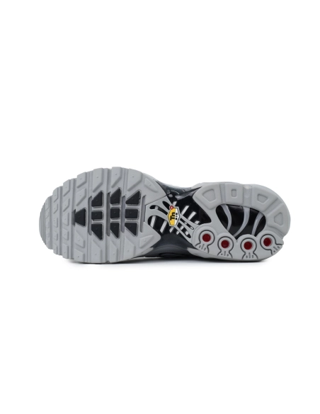 Nike Air Max Plus Wolf Grey 852630-021