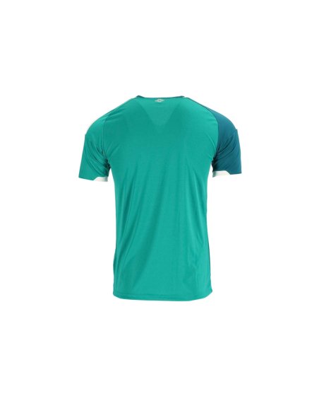2026 Northern Ireland Home Jersey,2026 World Cup,JERSEY,APPAREL