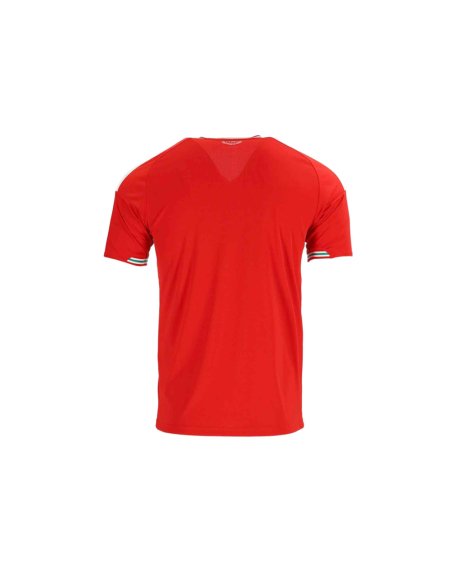 2026 Wales Home Jersey,2026 World Cup,JERSEY,APPAREL