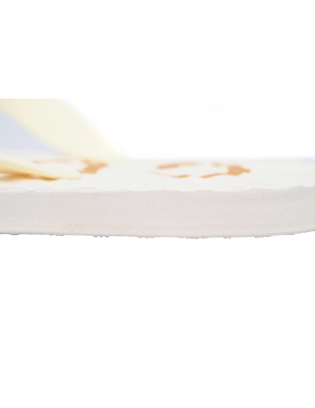Gucci Flip Flops Logo Bottom Beige