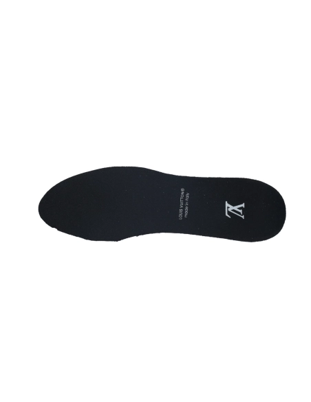 Louis Vuitton LV Skate Sneaker All Black