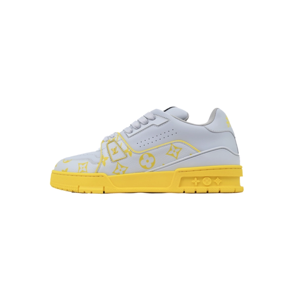 Louis Vuitton Trainer Grey Color Printing